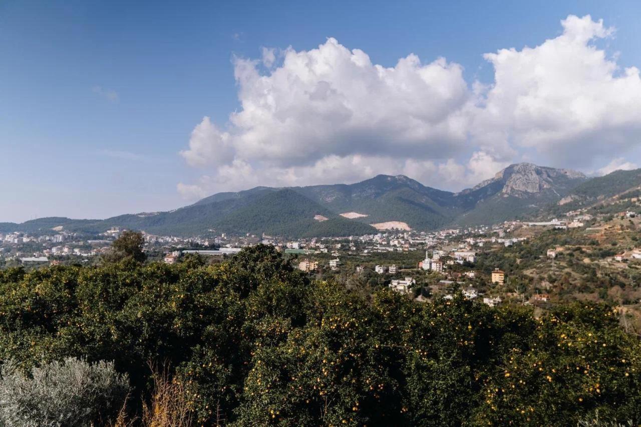 Yildiz * Alanya
